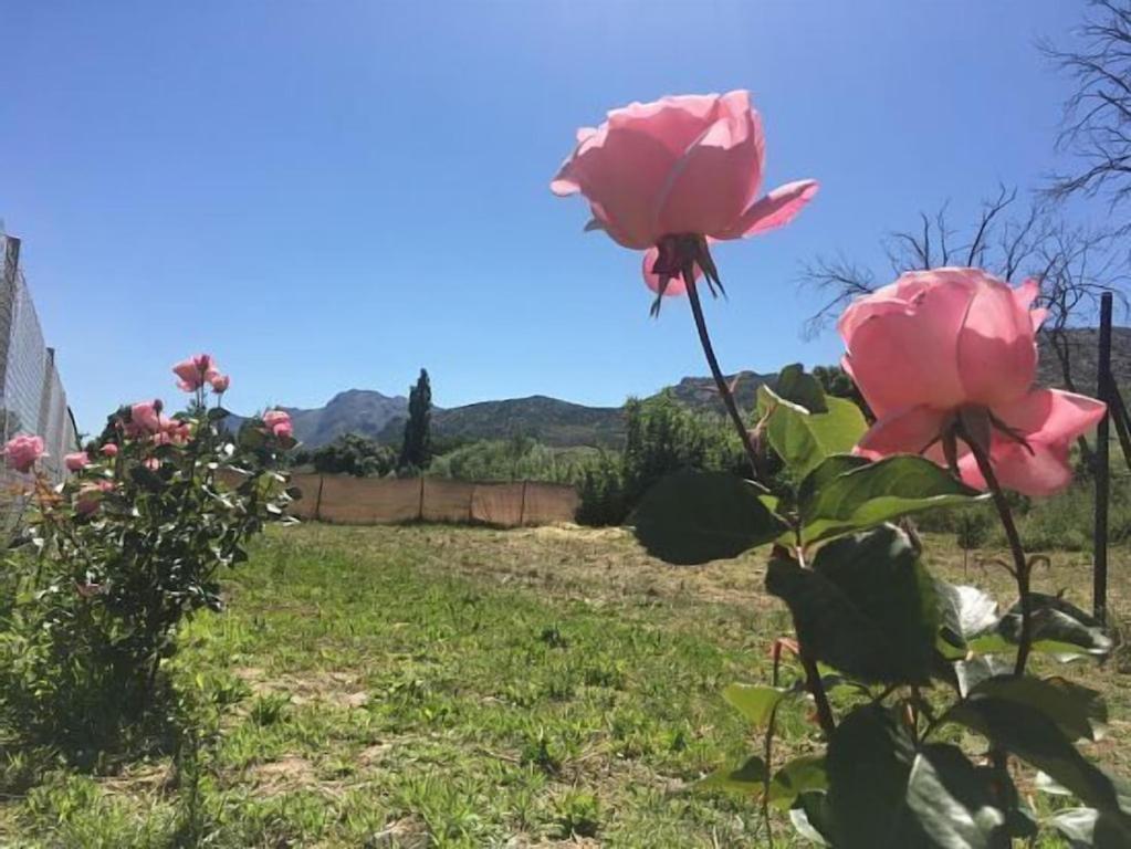 La Maestra Casa de Férias *